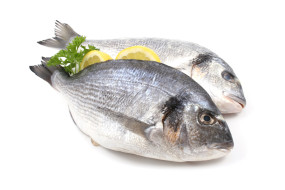 close-ups of two dorada fish with lemon and parsley isolated on white