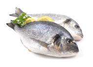 Fisch, Histaminintoleranz
